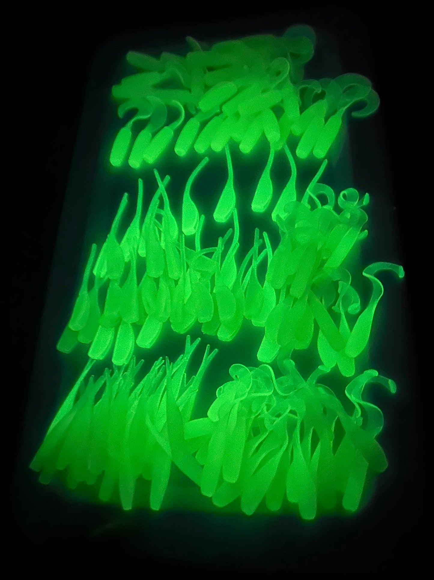 Glow Baits