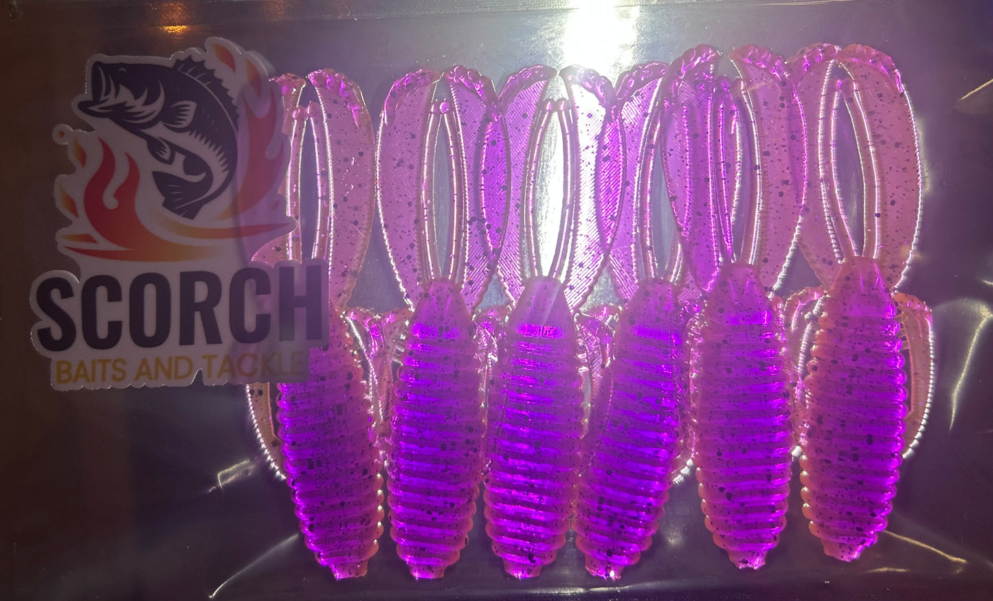 Flipping/ Punching Bug- FPB Pappi