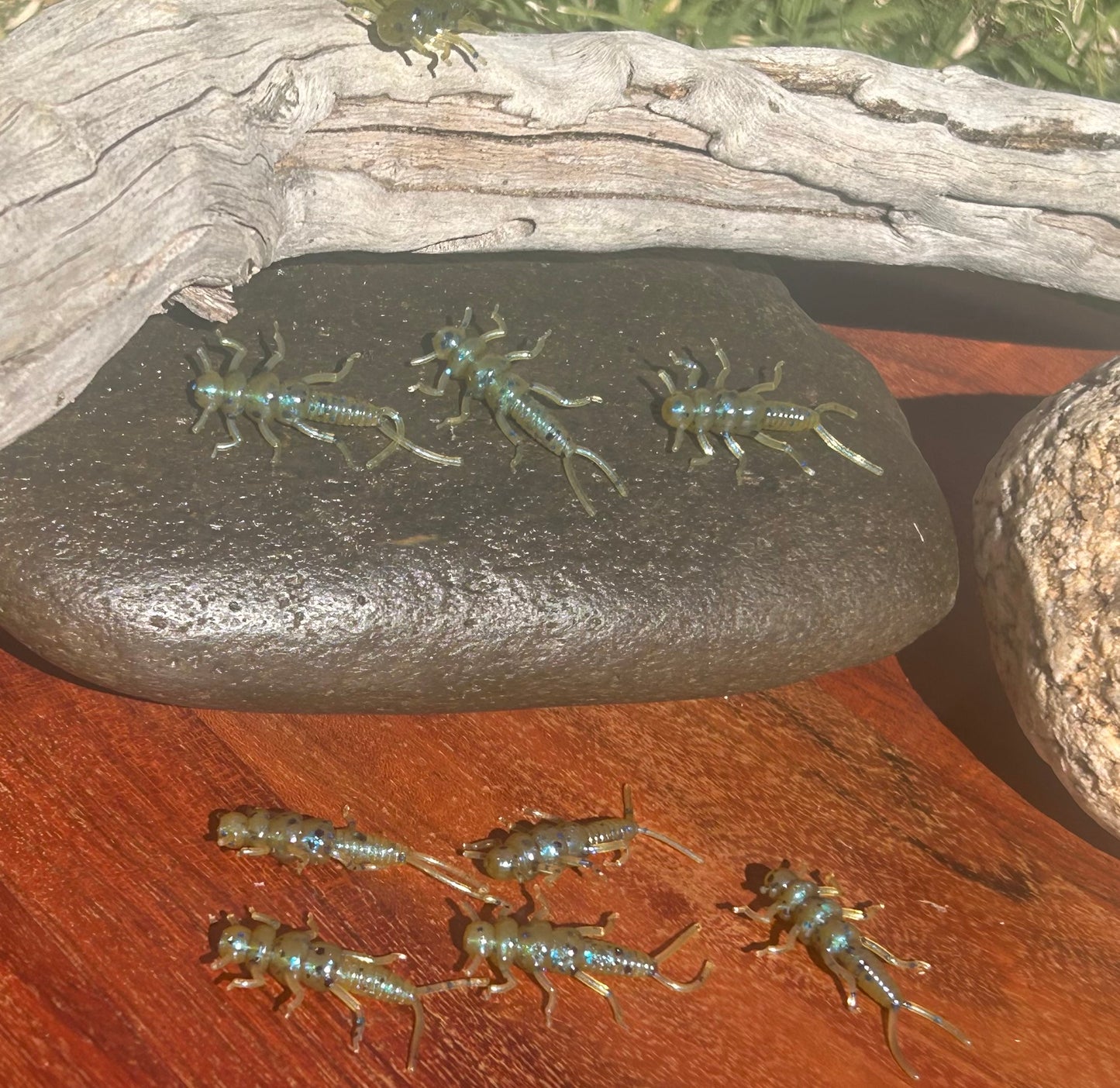 Stone Fly 1.375” floating