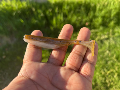 Swim Shady 3.8" Swim Bait