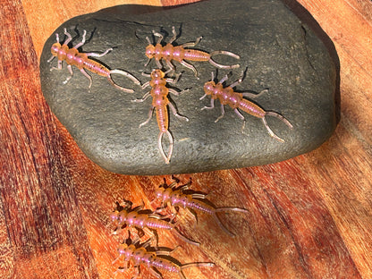 Stone Fly 2” floating